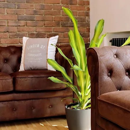 Ych-trilocale Stile Industriale Apartment *